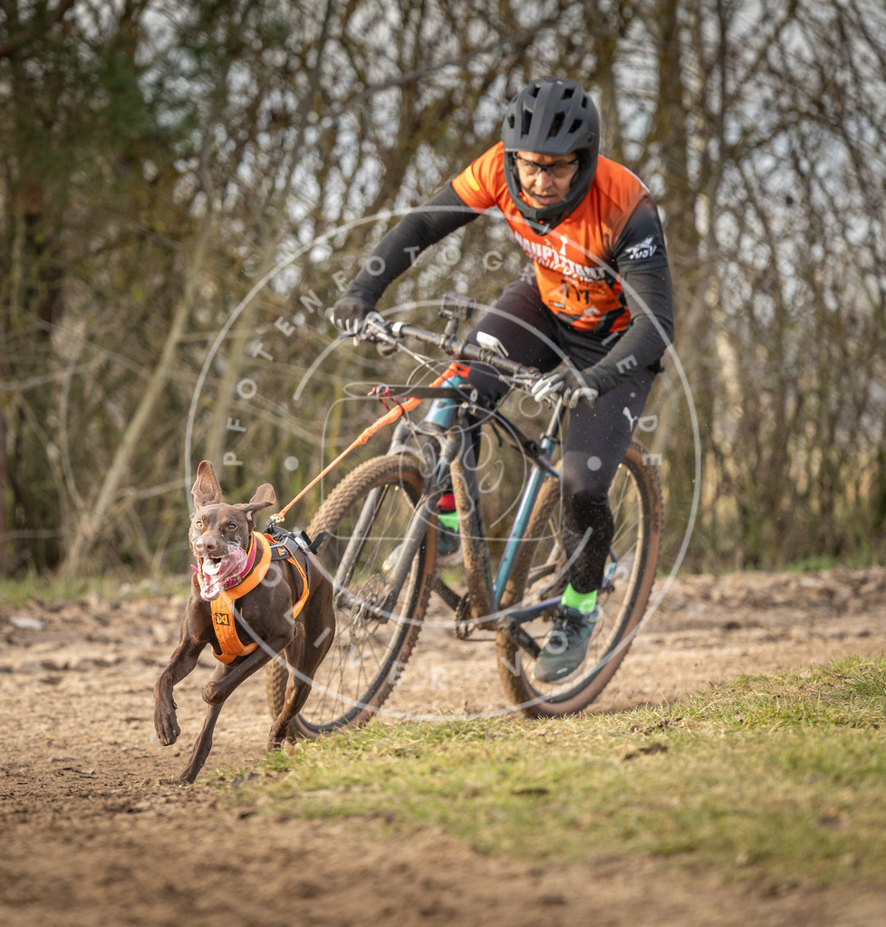 Pfotenfotografie_DV3A7610 | Hundefotografie, Tierfotograf, Pfotenfotografie, Fotoshooting Hund, Hunde Portrait, Hundesport, Hundeportraits, Heideshooting, Hunde, Sportfotograf, Hundefotograf, Turnierhundsport, THS,  - Realisiert mit Pictrs.com