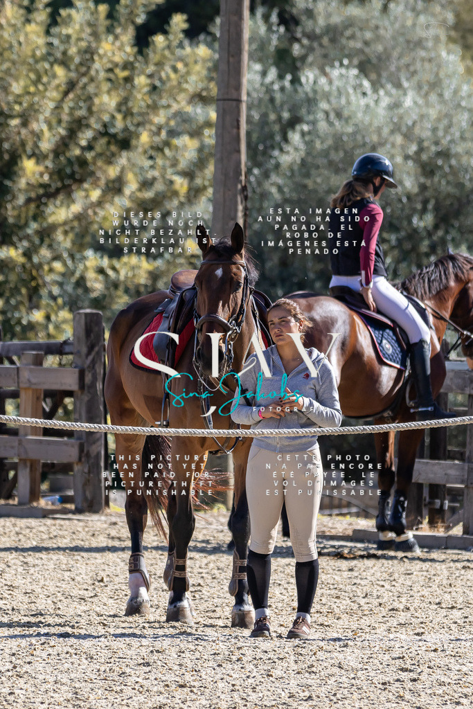 IMG_0732 | s-jay-photography - Realisiert mit Pictrs.com