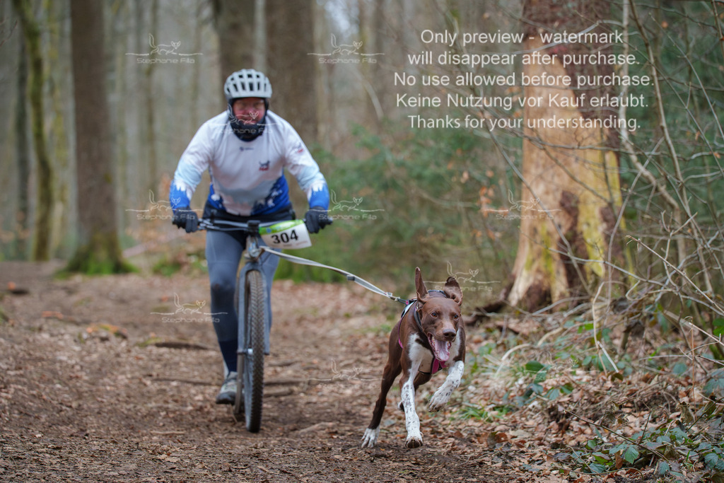 Scooter_So-44 | stephaniefillaphotographie - Realisiert mit Pictrs.com