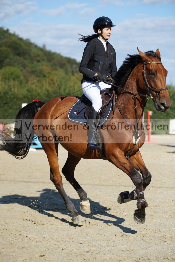 DSC09555 | equestrian-live-com