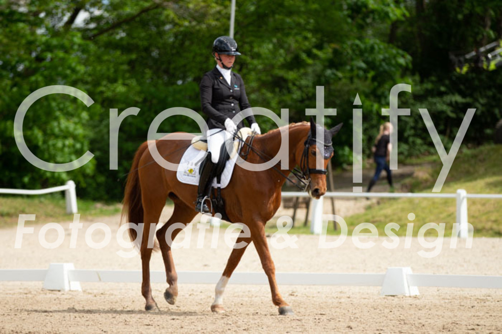 IMG_6869 | Creatify Fotografie