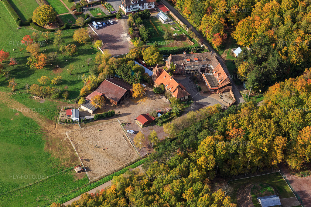 Luftbild: ferme Mellon in Niederbronn-les-Bains im Bundesland Bas-Rhin in Frankreich. – Foto: IMG_084719.jpg vom 23.10.2015 durch Werner Riehm/FLY-FOTO.de – Auflösung des Originals: 5472 x 3648 px – Ferme Mellon - Restaurant et chambres d'hôtes