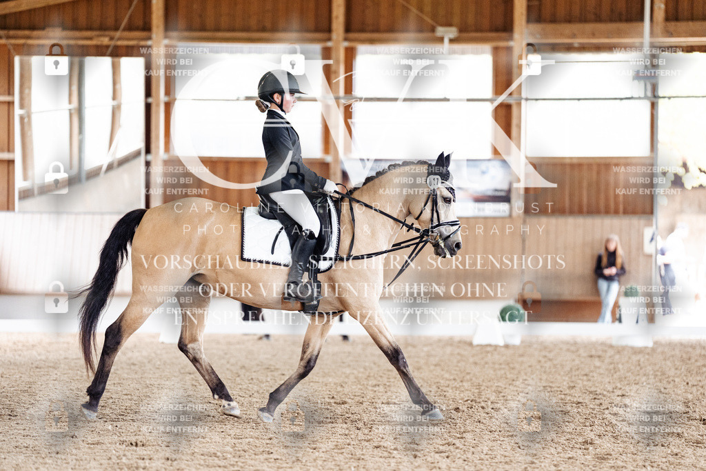 CK901573 | Turnierfotografie Pferdefotografie Trier Rheinland-Pfalz Pferdesport Reitsport Tierfotografie Sportfotografie Pferdevideo Pferdevideografie Equestrianvideography equestrianphotography  - Realisiert mit Pictrs.com