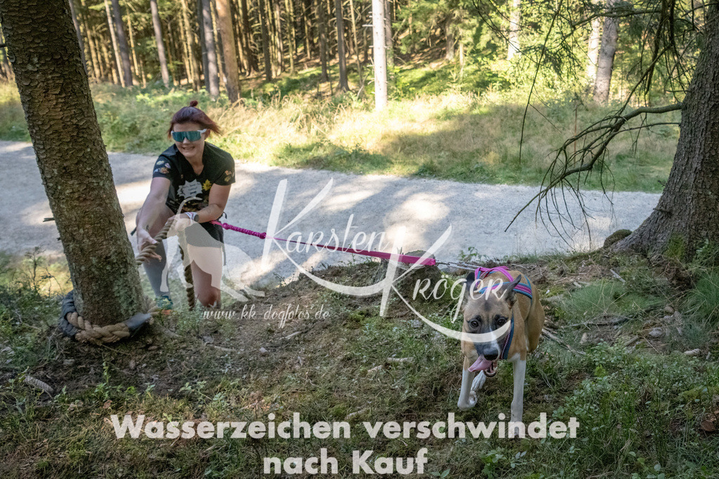 1217_ZZ93914 | kk-dogfotos