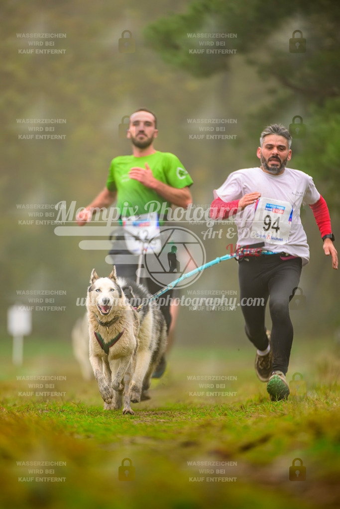 MompixPhotography_Bischwiller2025_Canicross-48 | mompixphotography