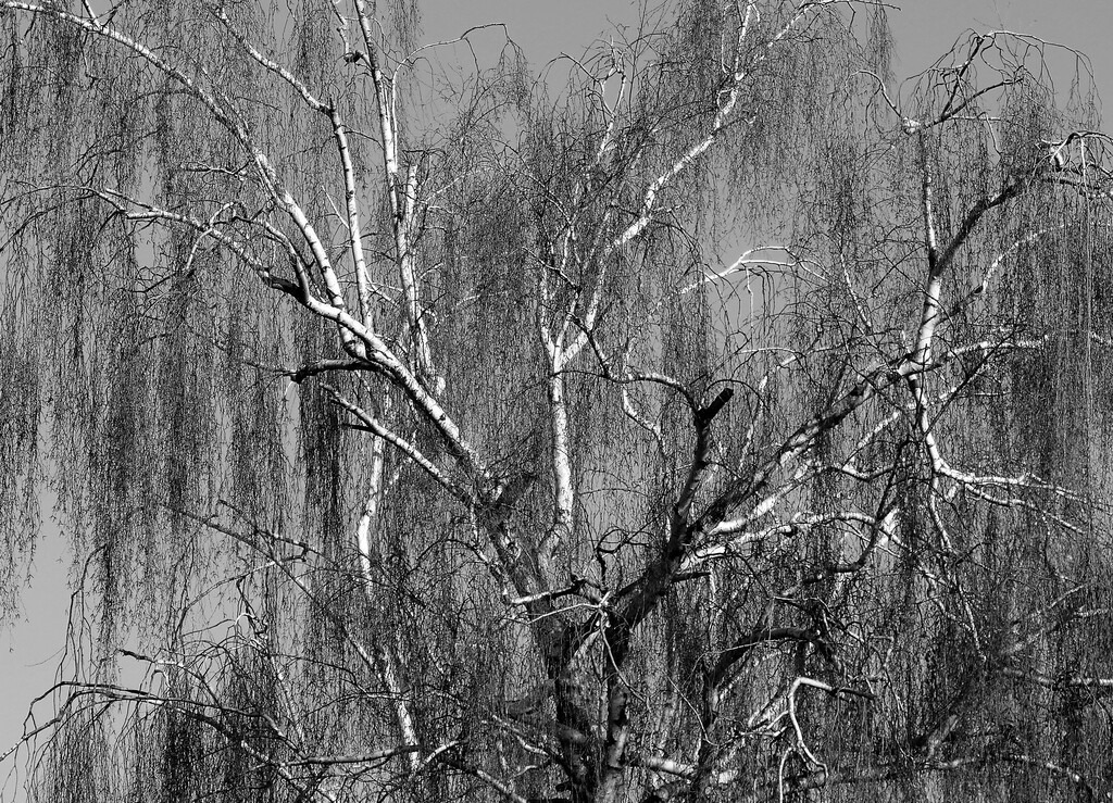 P1640798_d | Annaeherungen - Realisiert mit Pictrs.com