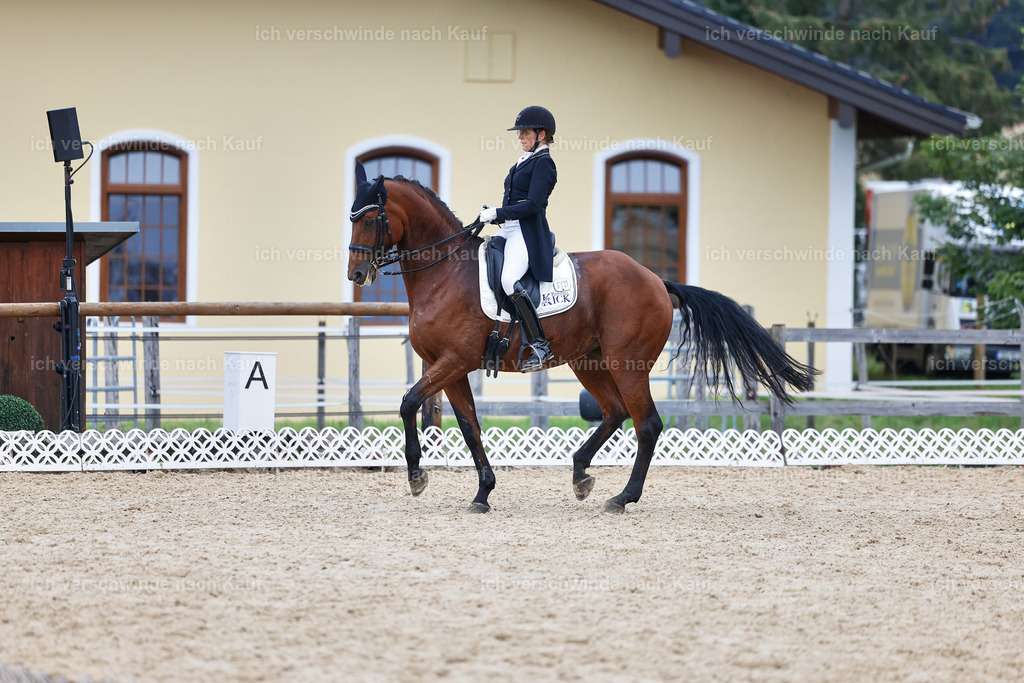 12-072-DRESSUR  S___  -StoibPH-5340 | working equitationturnier fotograf videograf stoibphotography marixx film working equitation deutschland reitsport turnierfotografie eventfotografie equestrian events