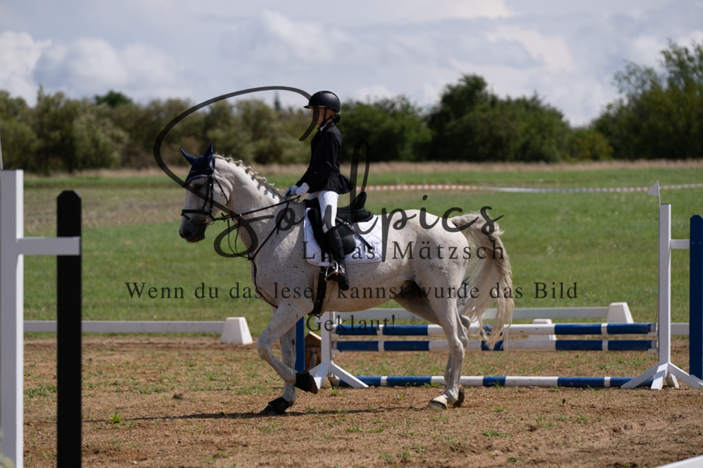 A7V03051 | Pferdefotograf