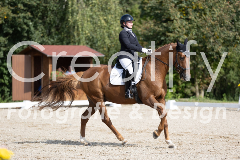 IMG_3317 | Creatify Fotografie