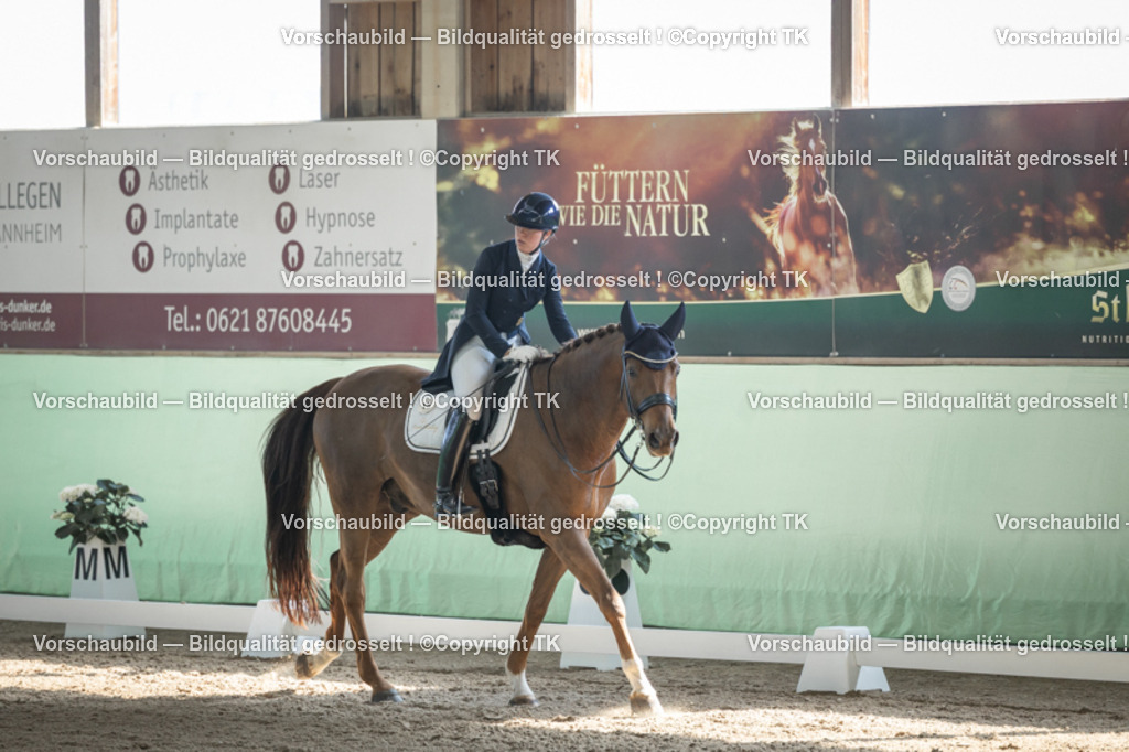 _D5A9664 | Emotionale Pferde- & People-Fotografie rund um Heidelberg, Leimen & Umgebung. Natürliche Fotos von Pferd, Mensch & Familie. Jetzt Termin sichern!