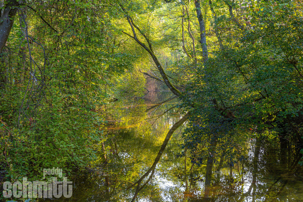 PS-Natur-2026-84 | Entdecke die größte Bildgalerie der Region mit Fotografien aus dem Allgäu, der Bodenseeregion, Oberschwaben, dem Donautal und der Schwäbischen Alb. Landschaften, Luftaufnahmen und Reisefotografie als Wandbild und Fotokunst. - Realisiert mit Pictrs.com