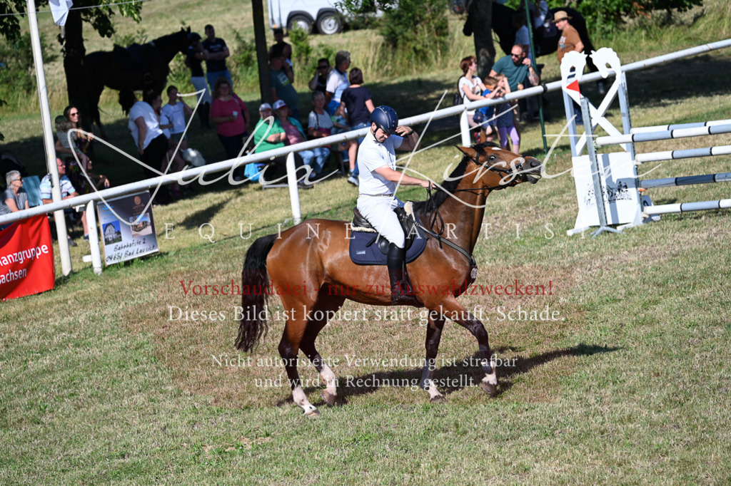 DSC_2159 | Pferde- und Turnierfotografie in Westsachsen. Pferdeportraits, Auftragszeichnungen und intuitive Kunst.