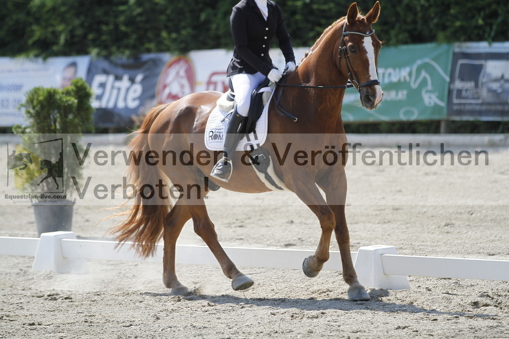 _MG_2047 | equestrian-live-com