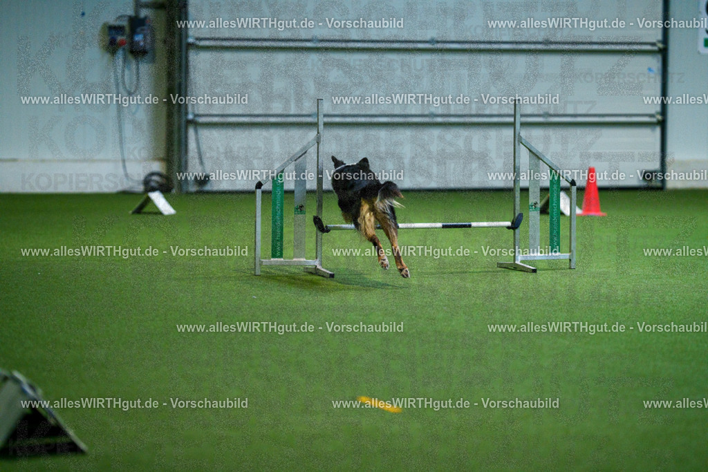 7R503299 | Professionelle Tierfotografie in Mönchengladbach von Daniel Wirth (allesWIRTHgut). Liebevolle & natürliche Bilder von Hunden & Katzen für unvergessliche Erinnerungen.