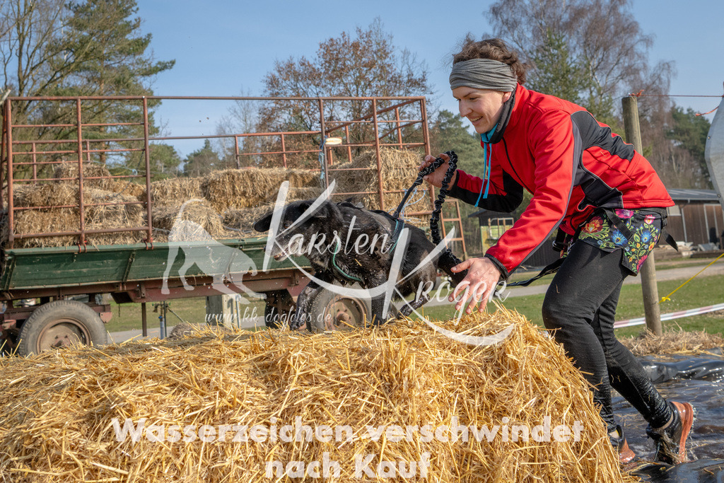 _ZZ90540 | kk-dogfotos