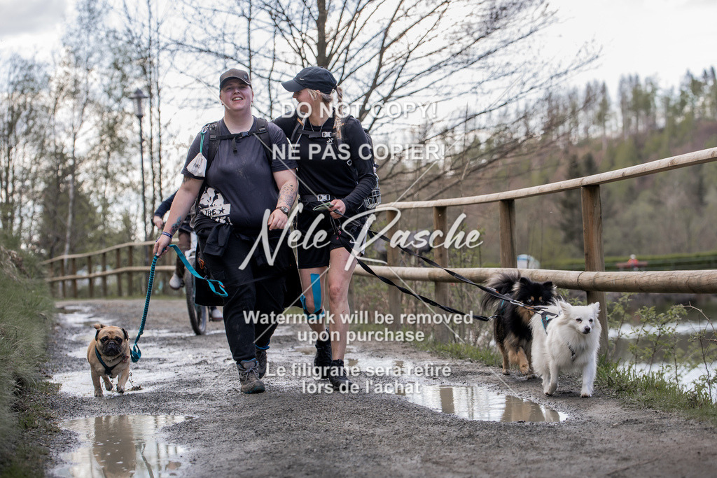 NR__0857 | nelerasche