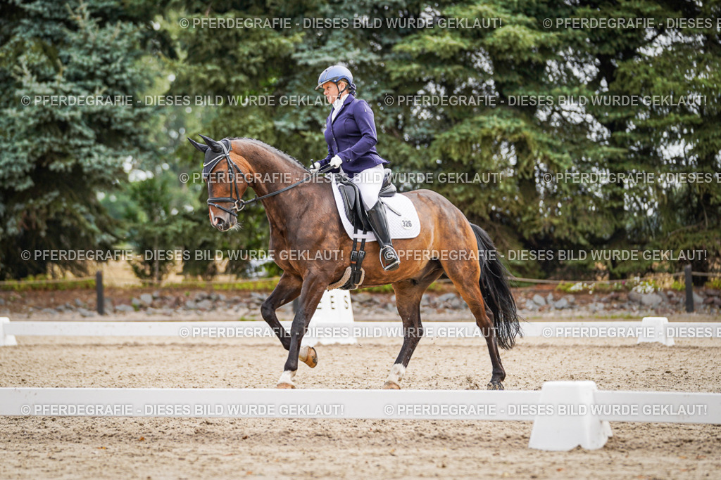 DSC02022 | Pferdegrafie