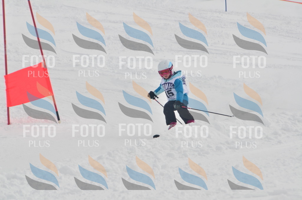 A5115 | holidayphoto