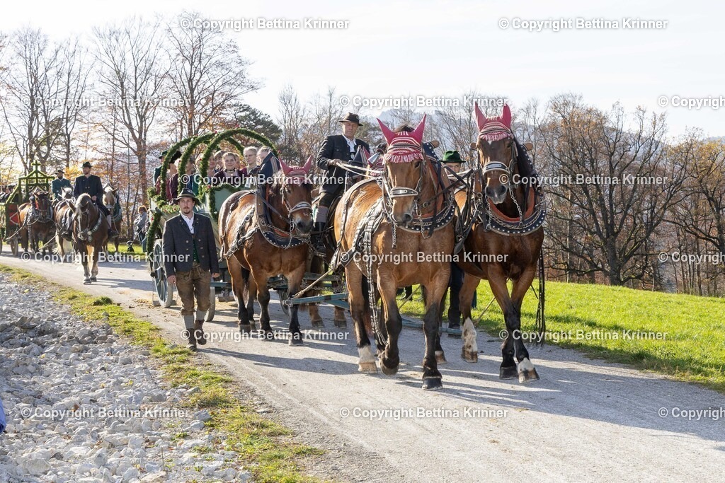 LBT24-1586 | foto-bettina-krinner - Realisiert mit Pictrs.com