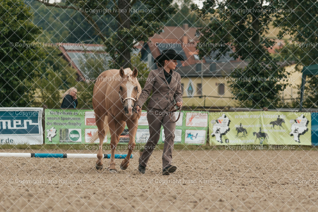 DSC02737 | ikphotography - Realisiert mit Pictrs.com