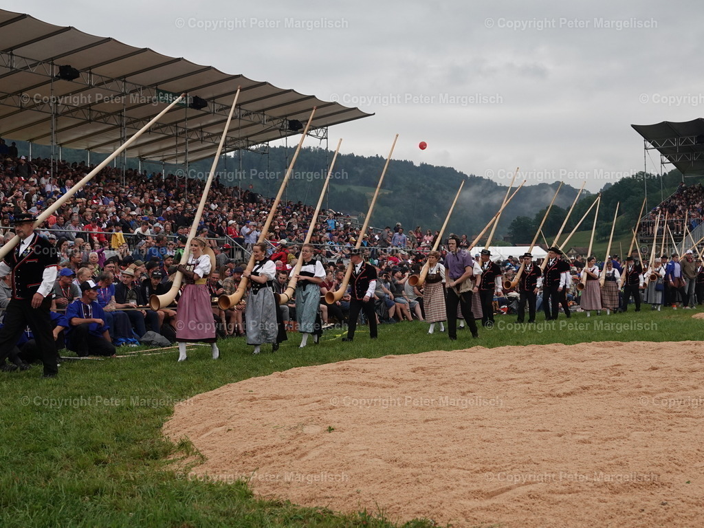DSC04866 | Schwingen - Realisiert mit Pictrs.com