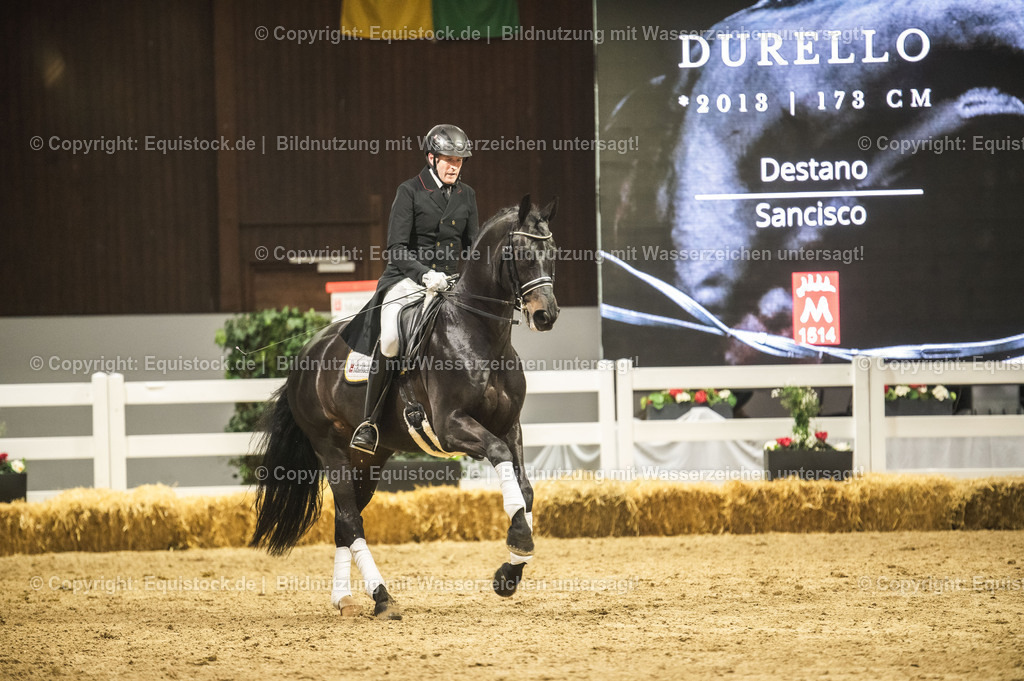 20240302_Hengstvorstellung_Marbach_TOMsPiC_1451 | equistock