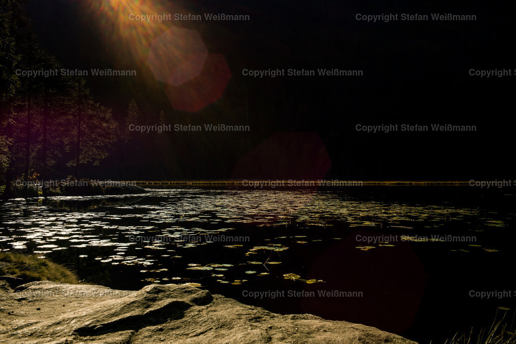 Herbststimmung am See | Die letzen Sonnenstrahlen im Herbst bevor der See ruht - Realisiert mit Pictrs.com