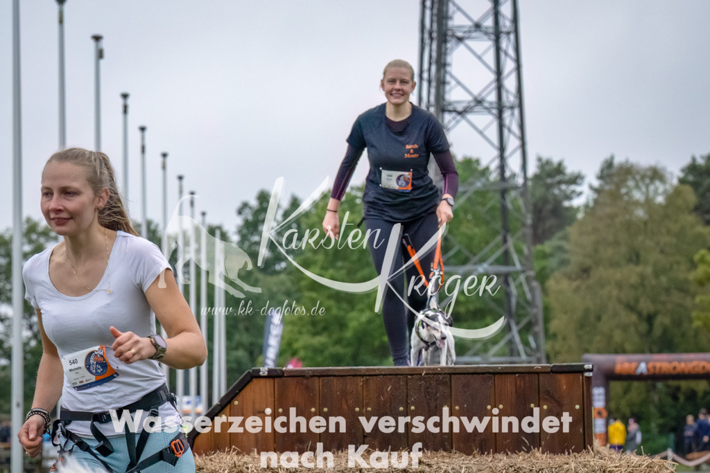 1212--11 | kk-dogfotos