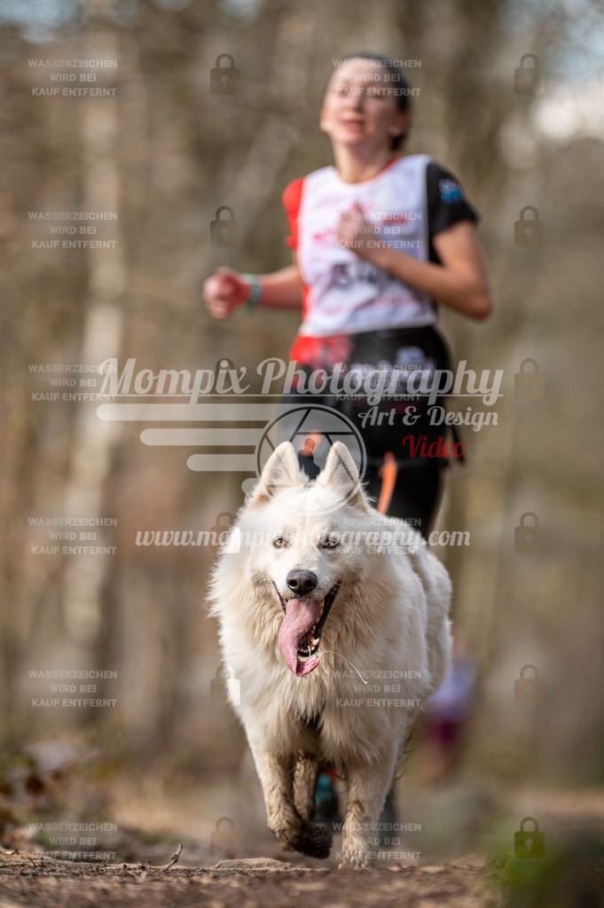 SPA_2023_SAM_CCK-208 | PayLife