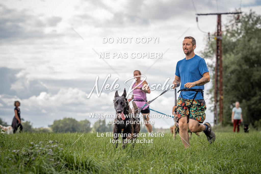 nelerasche_DoN_156 | nelerasche