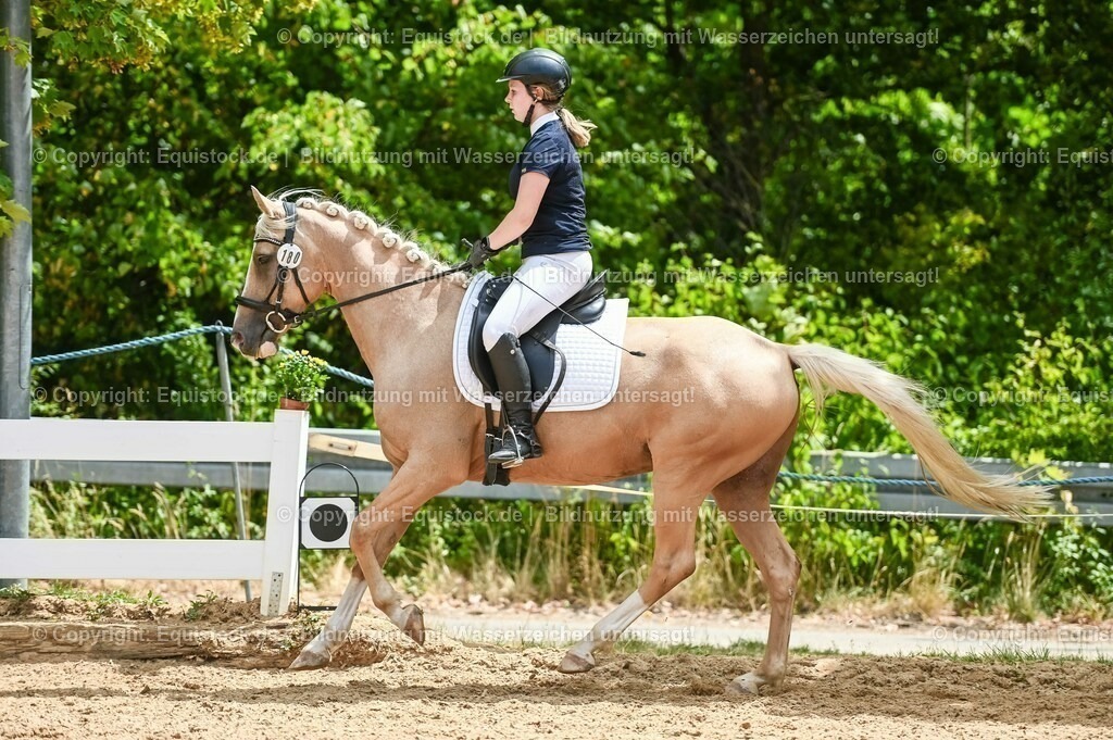 20230715_09_Dressur-WB_0549 | equistock