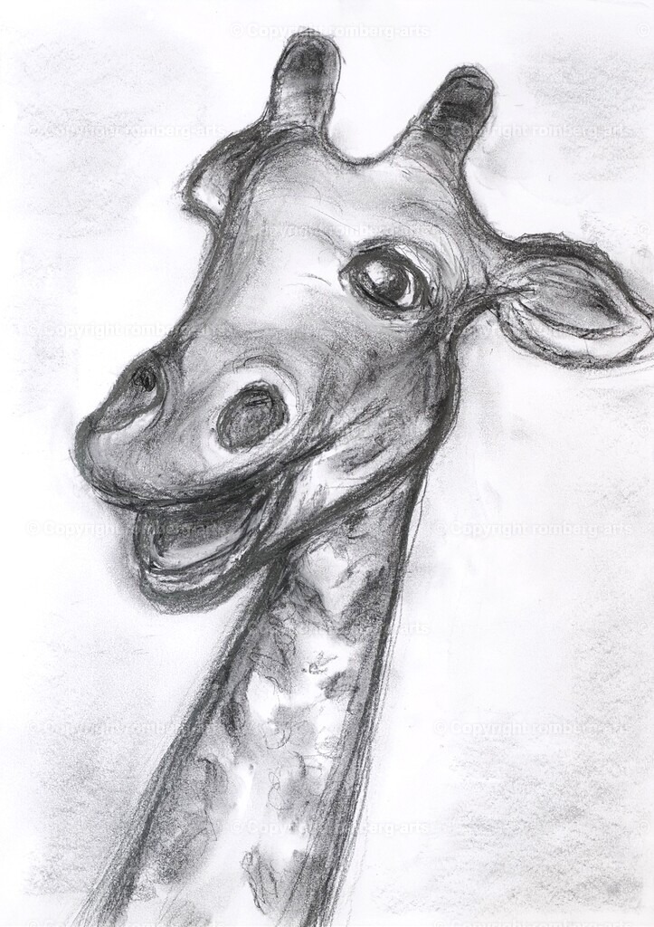 L1020493 (2) | romberg-arts, romberg-arts.de, www.romberg-arts.de, Foto_Online_Shop, Julia Fuhrmann, Köln, Fotos, Fotografie, Fotokunst, Kunstdrucke, Naturfotos, Aktfotos, Nacktfotos, schwarz_weiß_Fotos, Blumenfotos, Blumen, Tiere, Beton, Korrosion, Lächeln, Drucke