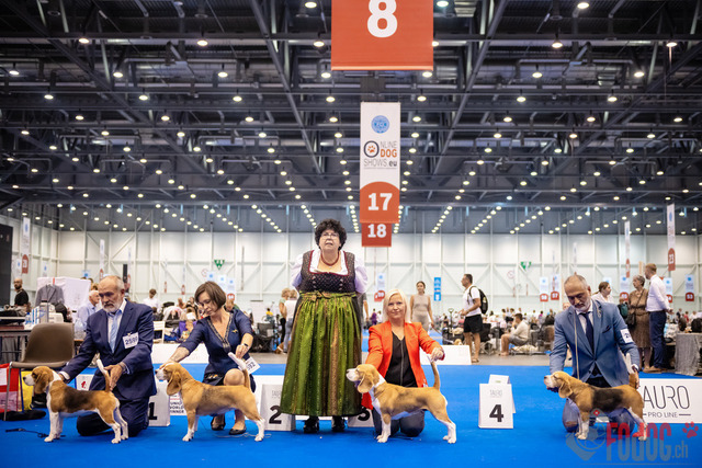 World Dog Show Donnerstag | World Dog Show 2023 Donnerstag im Palexpo in Genf 24.08.2023 Foto: Leo Wyden