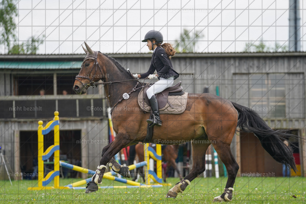20240509-FAH02645 | Turnierbilder der Turnierfotografen Bayern, Pferdesport Fotografie, Reitsportbilder, Turnier Landberg am Lech, Turnierbilder bayern, Fotoagentur Herrmann