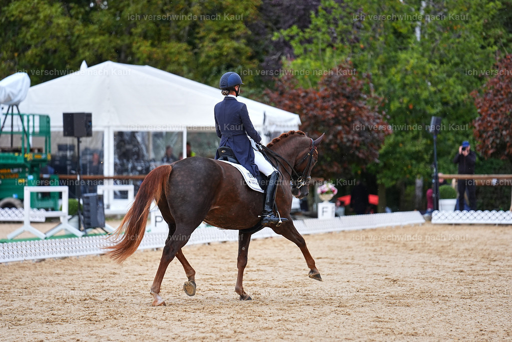 8_1-094-Klasse S_  -Marixx-4145 | working equitationturnier fotograf videograf stoibphotography marixx film working equitation deutschland reitsport turnierfotografie eventfotografie equestrian events