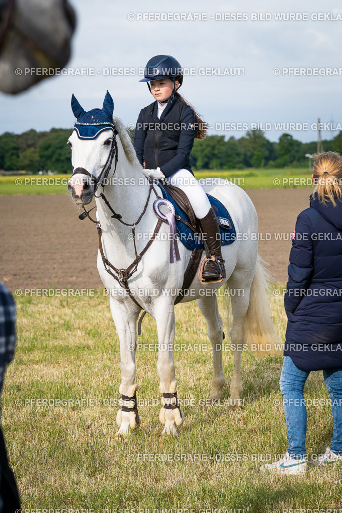 DSC03085 | Pferdegrafie