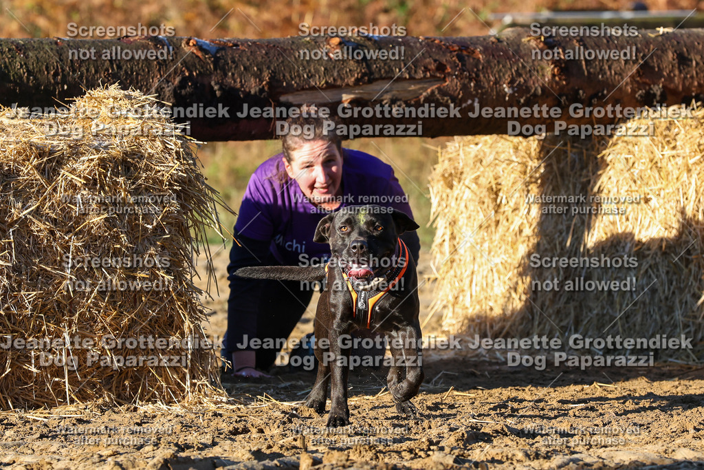 Dog Paparazzi - Strongdog 10-25-1065 | Dog Paparazzi Jeanette Grottendiek Fotografie & Videografie - Realisiert mit Pictrs.com
