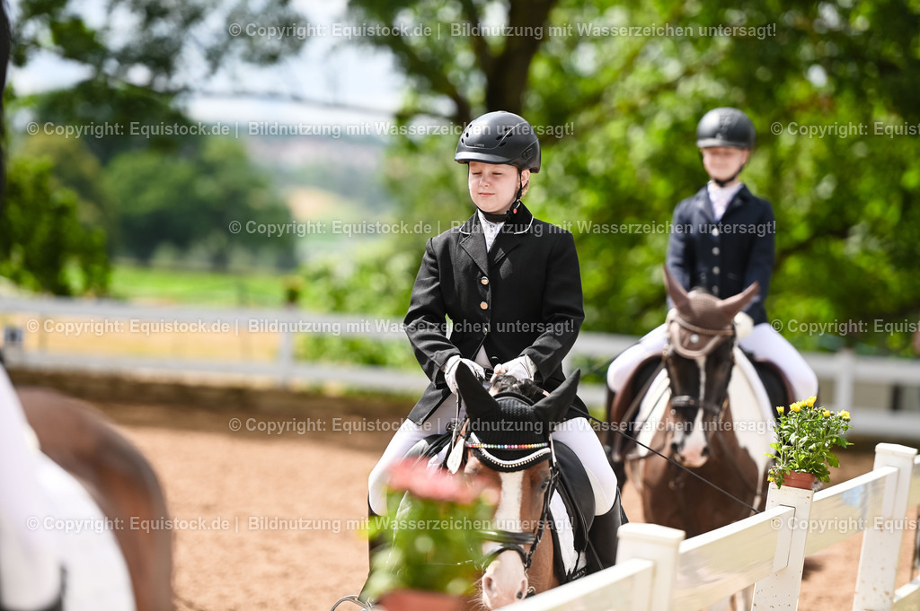 20230716_10-2_Reiter-WB Schritt - Trab - Galopp_0007 | equistock