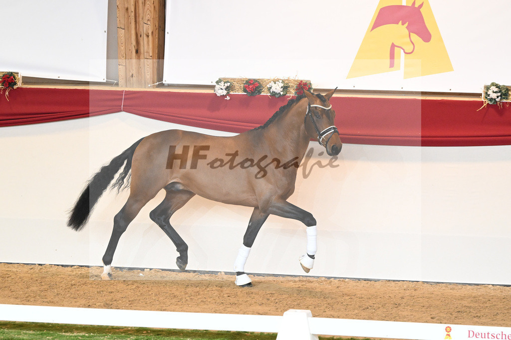 Kat-Nr. 77 Vitalis_Bock_1230551 | hf-fotografie - Realisiert mit Pictrs.com