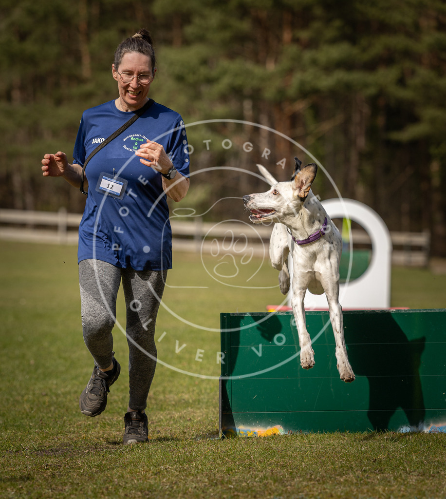 Pfotenfotografie_DV3A0683 | Hundefotografie, Tierfotograf, Pfotenfotografie, Fotoshooting Hund, Hunde Portrait, Hundesport, Hundeportraits, Heideshooting, Hunde, Sportfotograf, Hundefotograf, Turnierhundsport, THS,  - Realisiert mit Pictrs.com