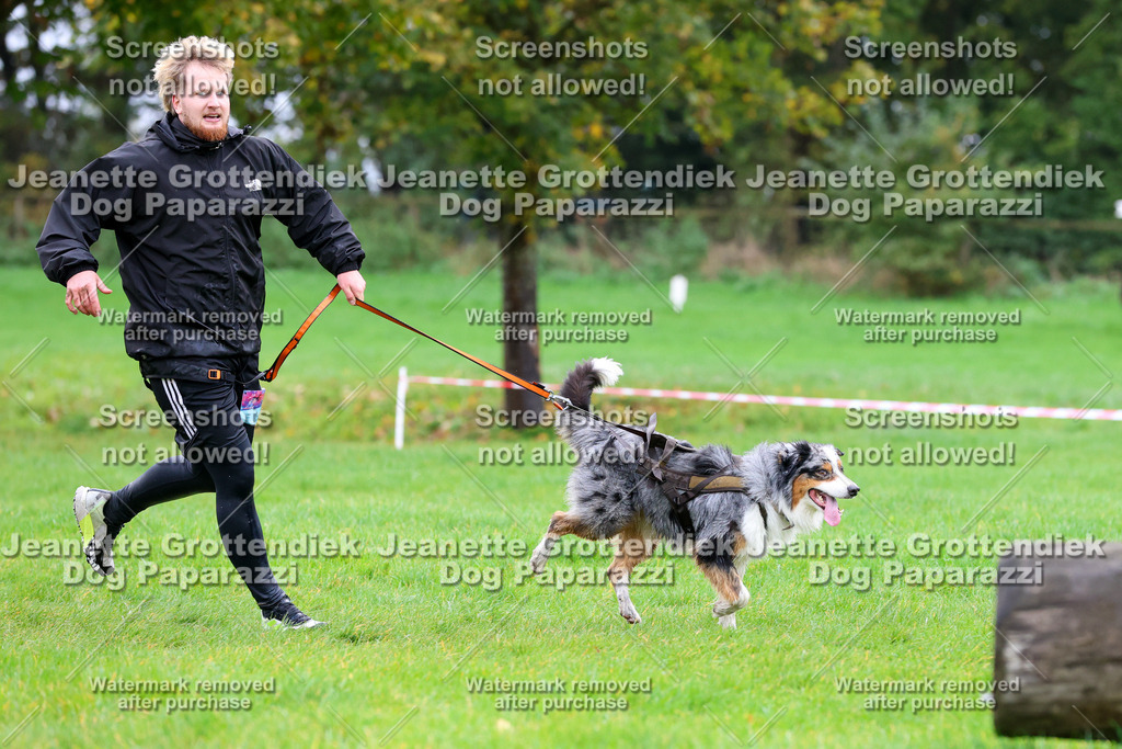 Dog Paparazzi -  SD1026-1898 | Dog Paparazzi Jeanette Grottendiek Fotografie & Videografie - Realisiert mit Pictrs.com