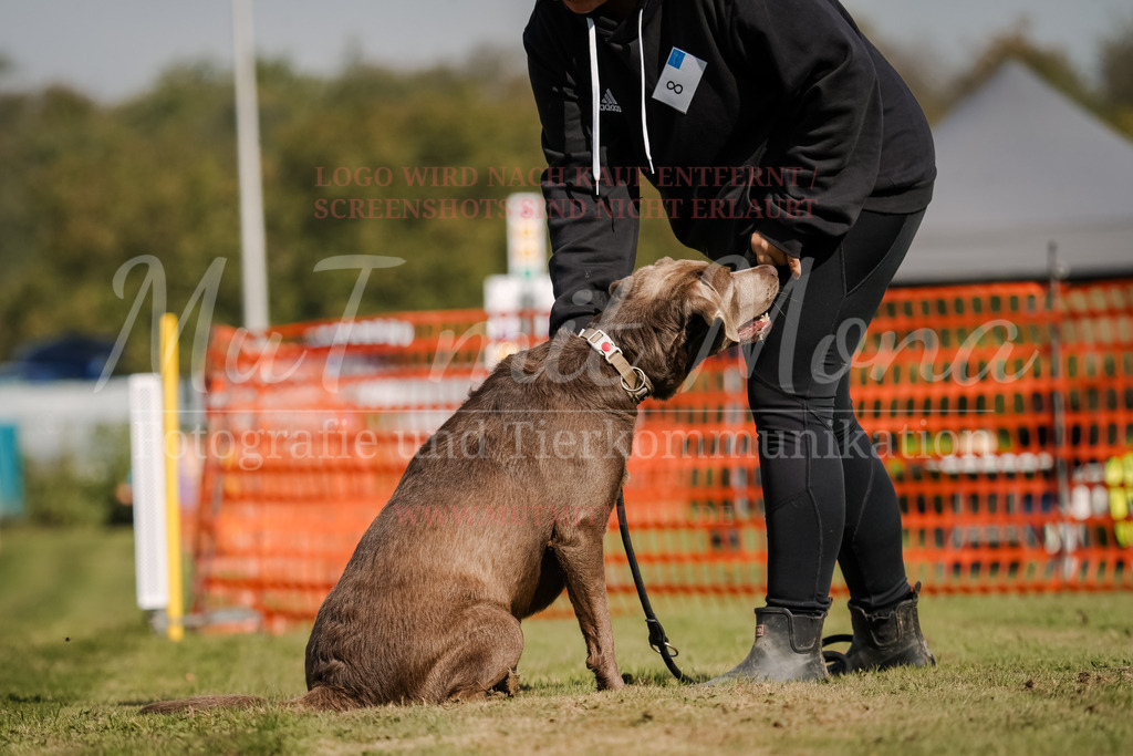 20250928_Hunderennen-407 | MuT (Mensch und Tier) mit Mona - Fotografie und Tierkommunikation - Realisiert mit Pictrs.com