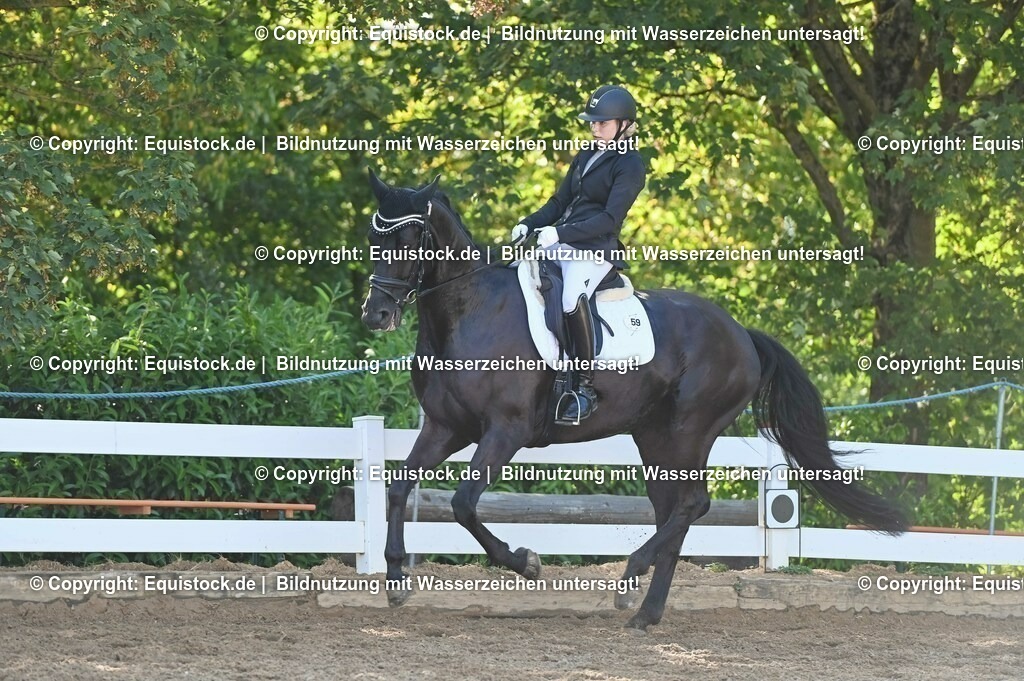 20230715_06_Dressurpferdeprfg. Kl.A_0102 | equistock