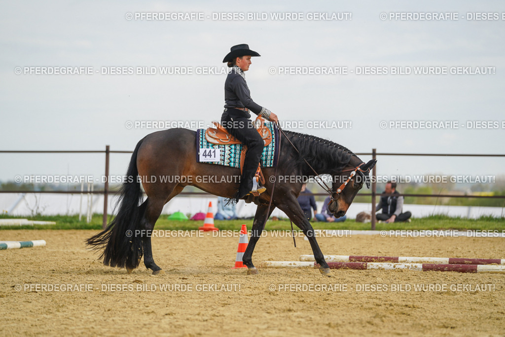 DSC05273 | Pferdegrafie