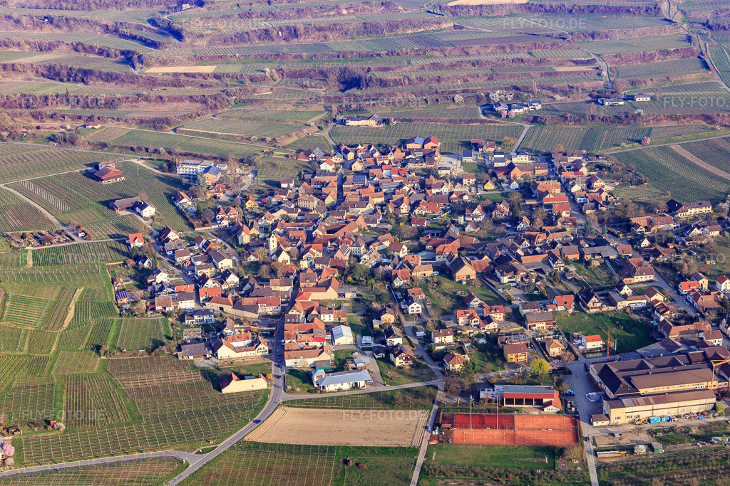 Luftbild: Ortsansicht aus Nordosten im Ortsteil Bischoffingen in Vogtsburg im Bundesland Baden-Württemberg in Deutschland. Foto: IMG_113149.jpg vom 22.03.2019 durch Werner Riehm/FLY-FOTO.de