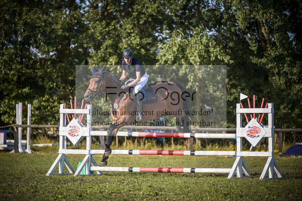 DOS_0822 | Entdecke hochwertige Reitturnierfotos von Foto Oger. Professionell, emotional und authentisch – jetzt Lieblingsmomente im Shop bestellen.Deutschlandweite Turnierfotografie. - Realisiert mit Pictrs.com