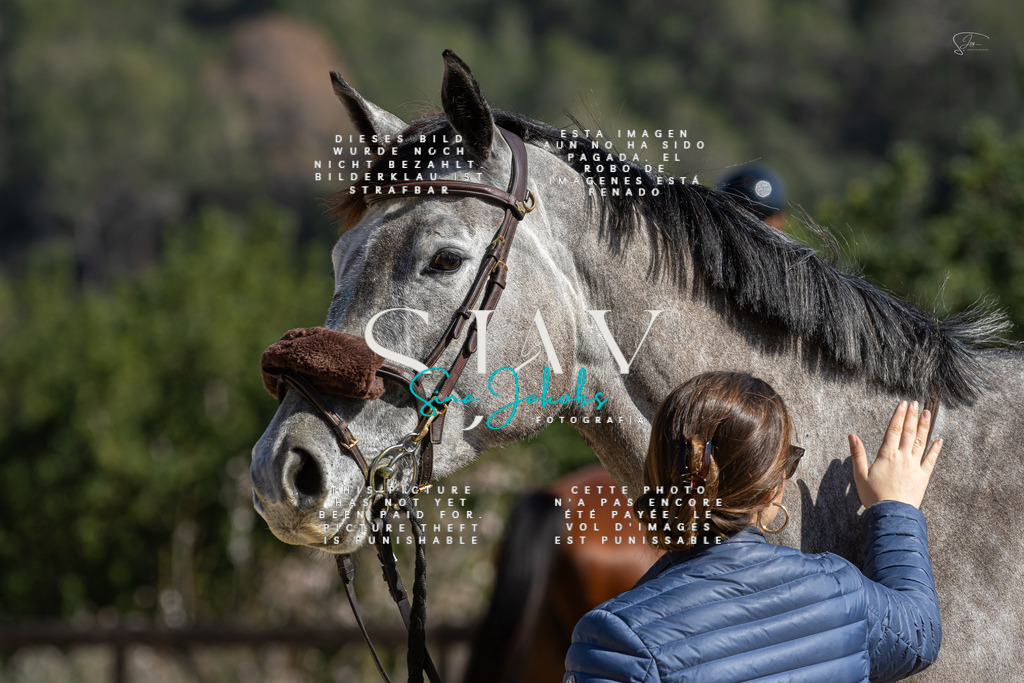 IMG_6491 | s-jay-photography - Realisiert mit Pictrs.com