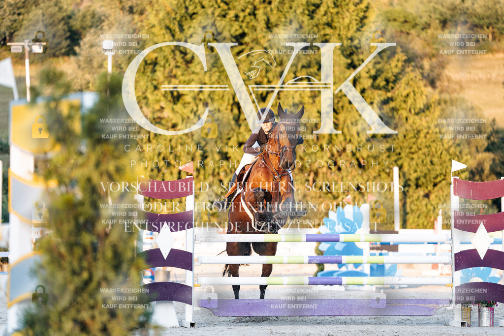 CK901245 | Turnierfotografie Pferdefotografie Trier Rheinland-Pfalz Pferdesport Reitsport Tierfotografie Sportfotografie Pferdevideo Pferdevideografie Equestrianvideography equestrianphotography  - Realisiert mit Pictrs.com