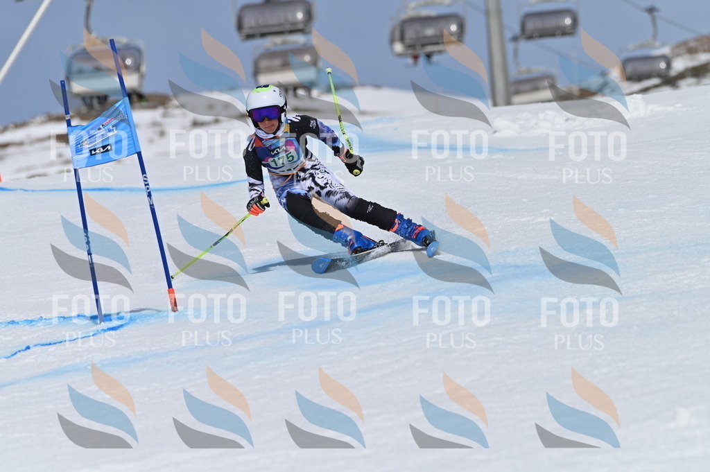 BGV_3451 | holidayphoto