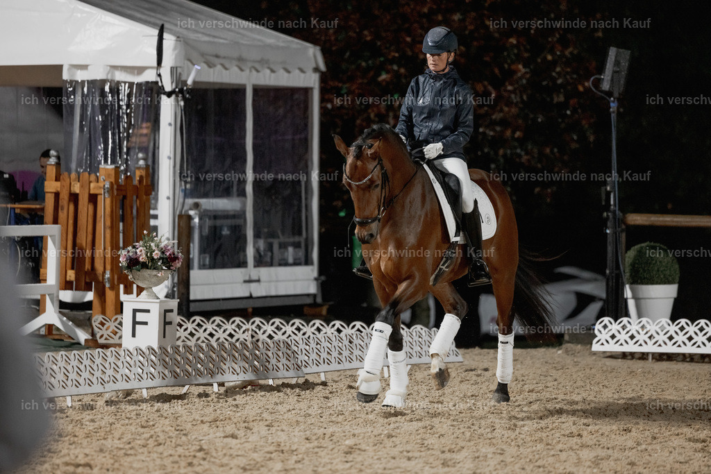 FHClassics-48 | working equitationturnier fotograf videograf stoibphotography marixx film working equitation deutschland reitsport turnierfotografie eventfotografie equestrian events